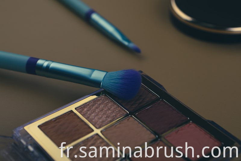 Details Makeup Brush 2030